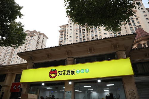 精細(xì)化運(yùn)營(yíng) 生鮮超市的成功之道